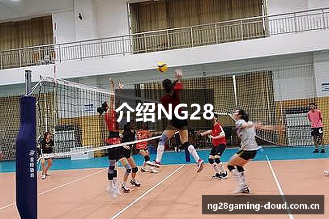 介绍NG28
